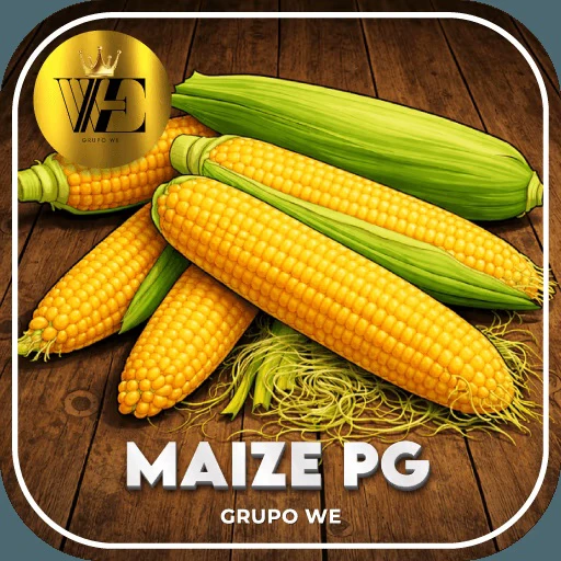MaizePG.com cassino online licenciado com 2.500+ jogos certificados, bônus R$ 5.000🍀 Logo